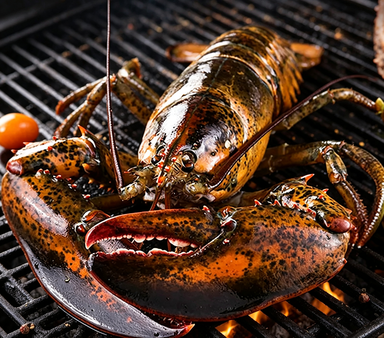 Whole Lobster