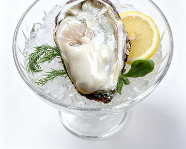 Fresh Oysters